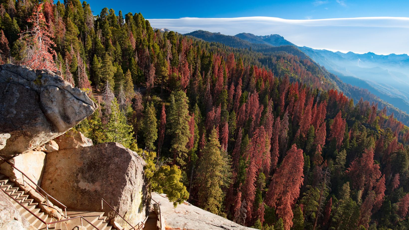 Places to Stay in Sequoia National Park